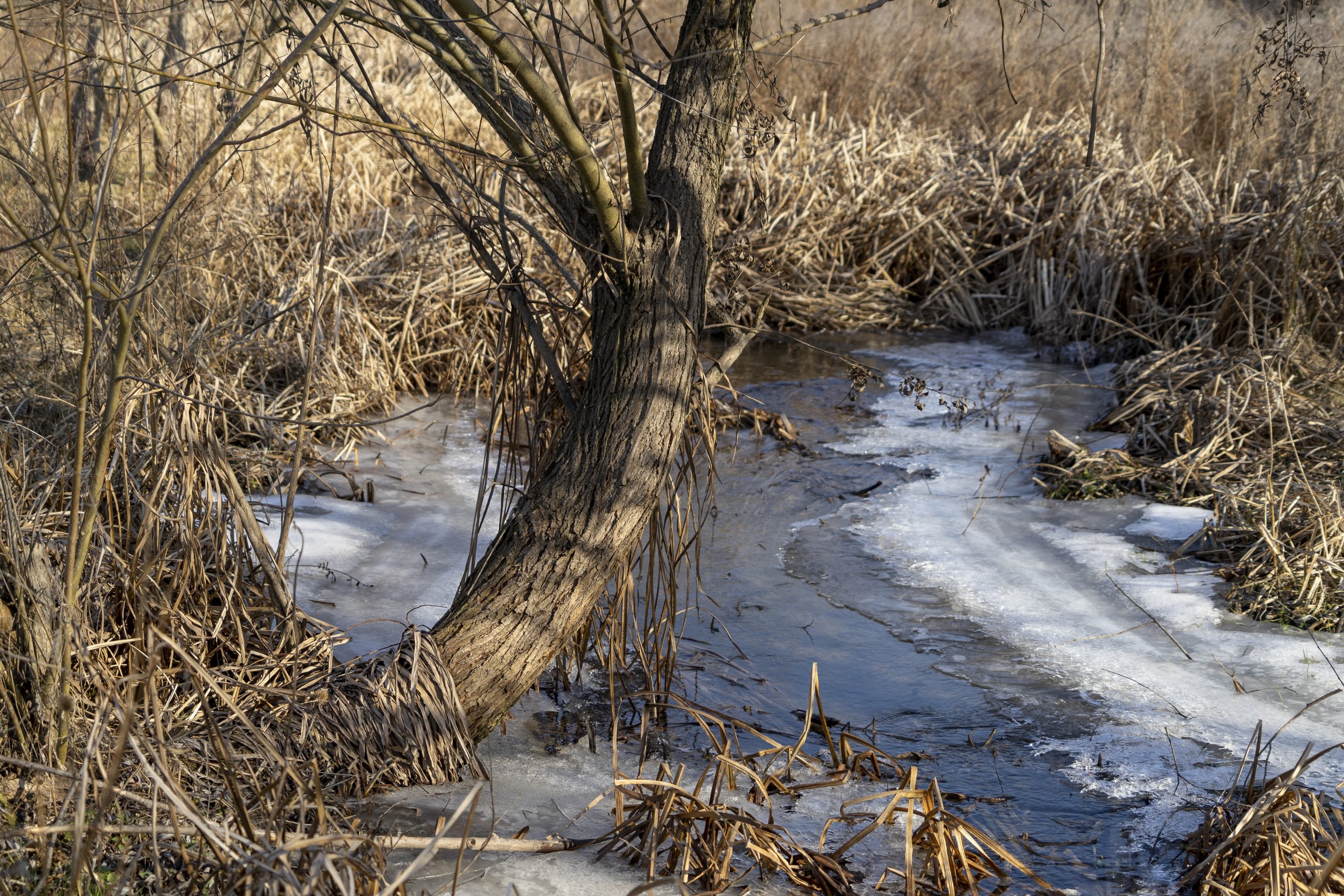 Azi despre ieri – 16 februarie 2020