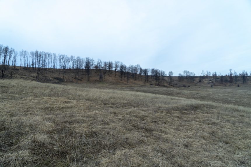 Vremea, duminică, în Oltenia