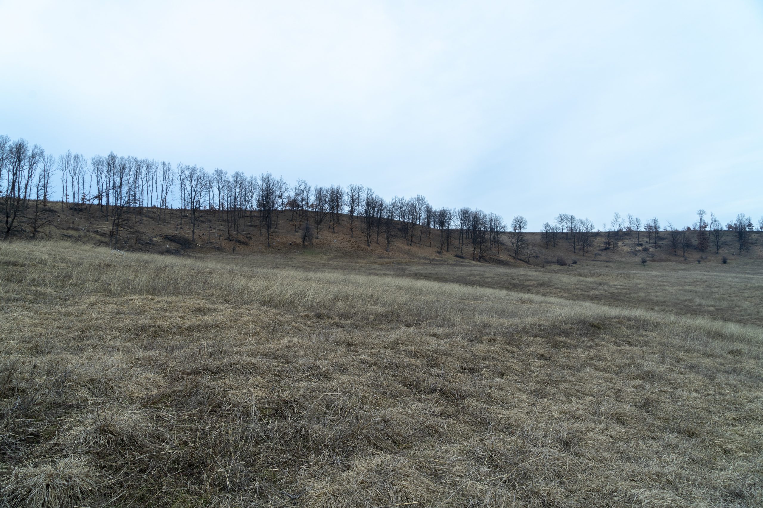 Vremea, 11/12 februarie, în Oltenia (audio)