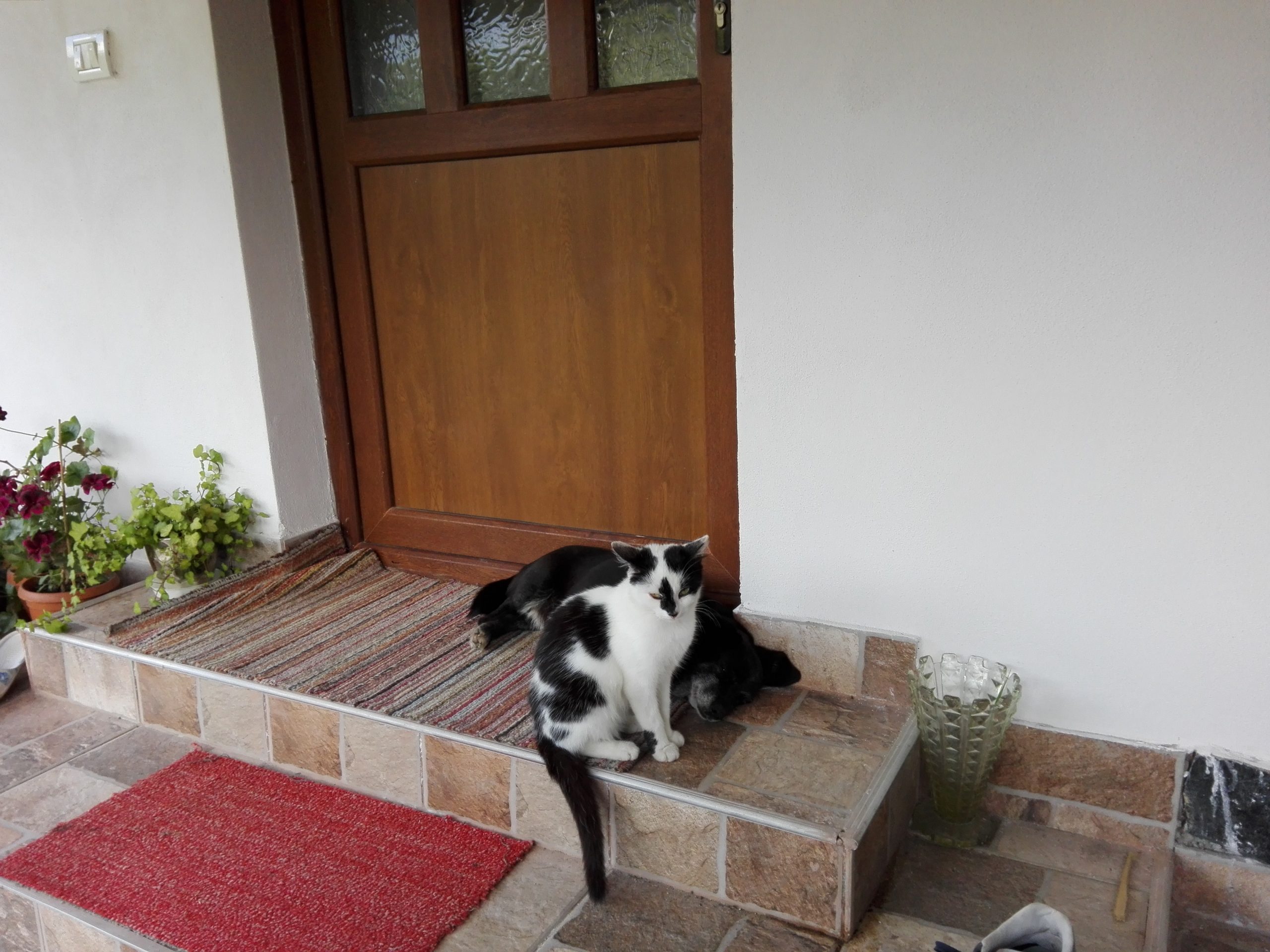 Vremea, duminică, în Oltenia (audio)