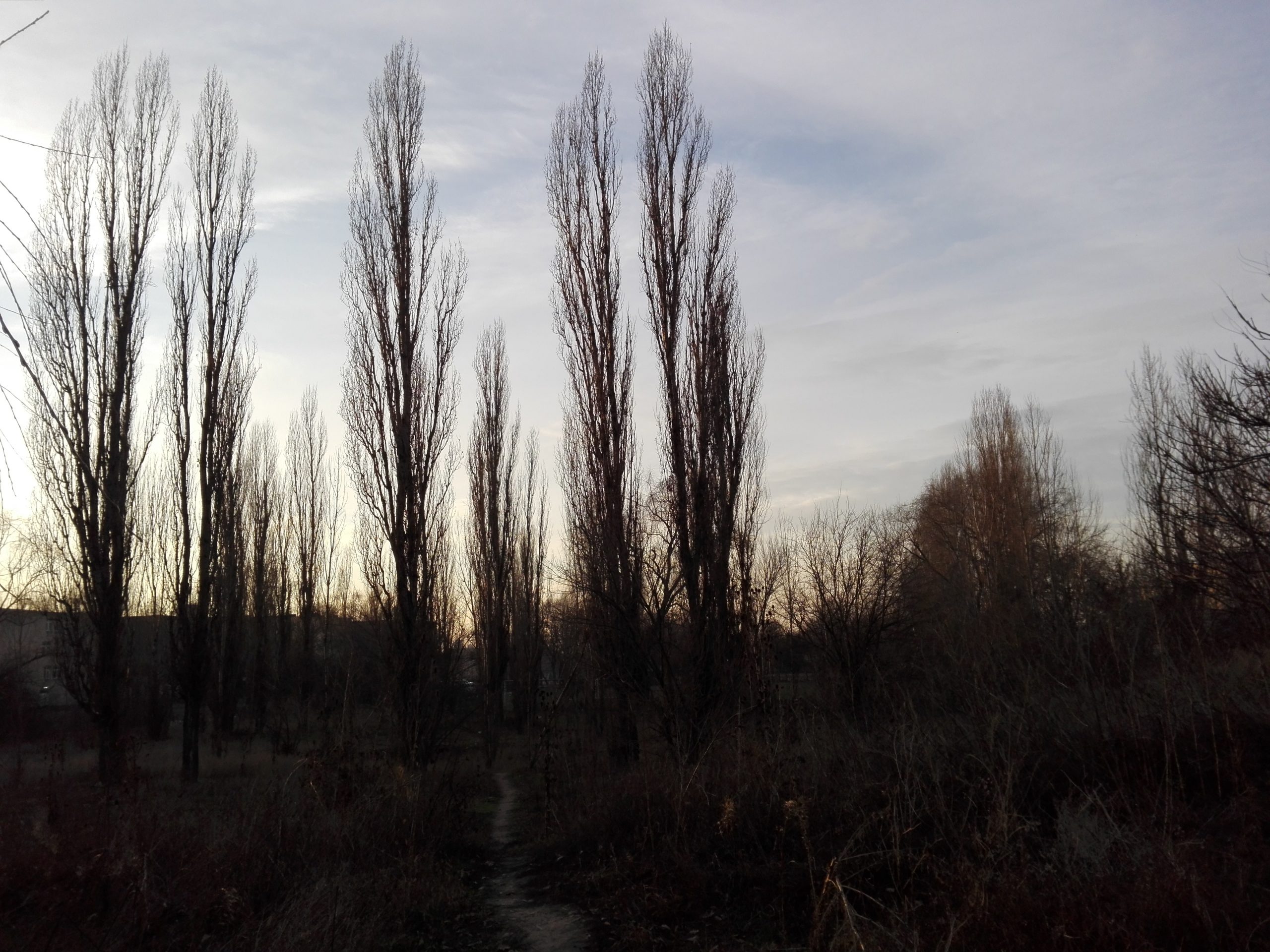 Vremea, 23/24 februarie, în Oltenia