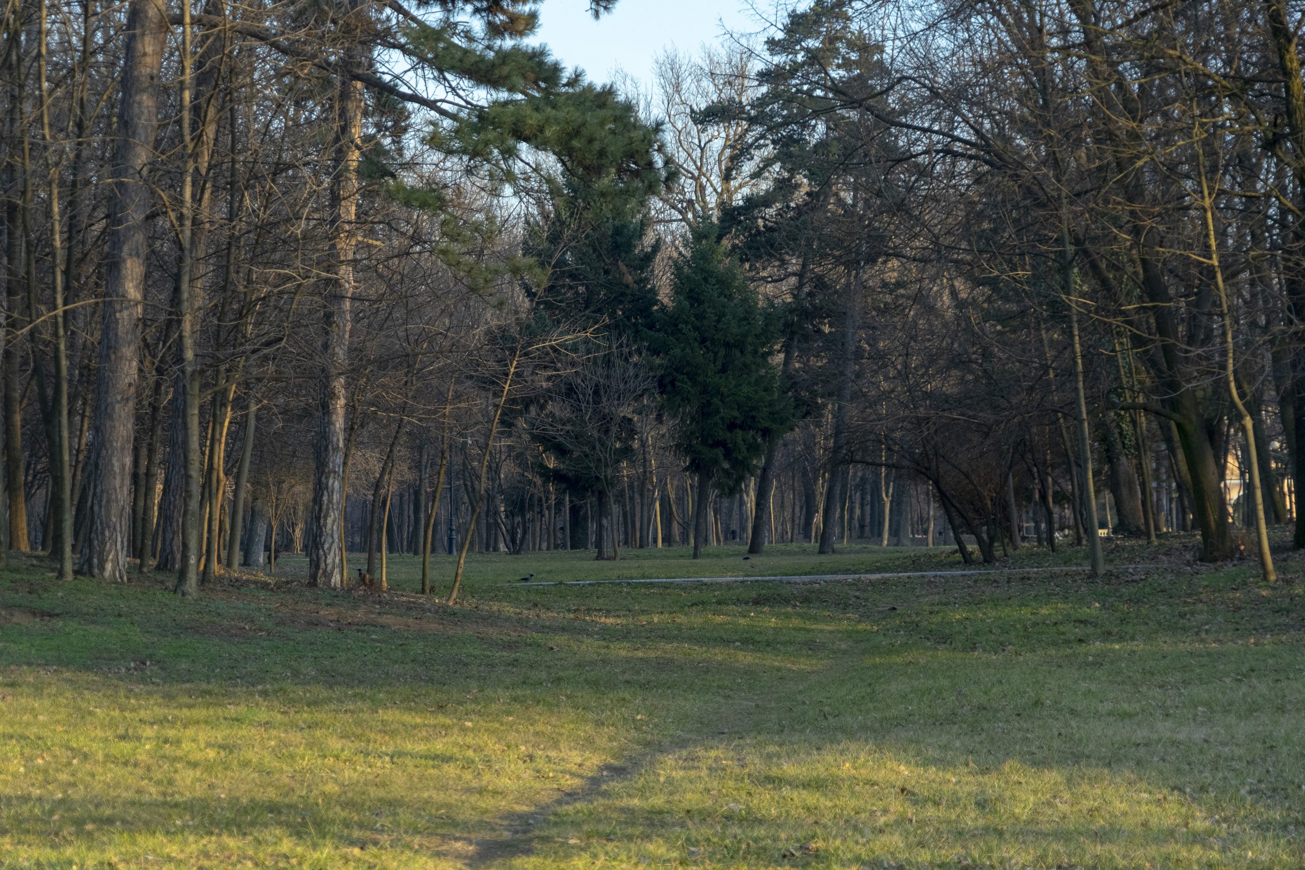 Cod galben de vânt puternic în Mehedinţi, Dolj și Olt