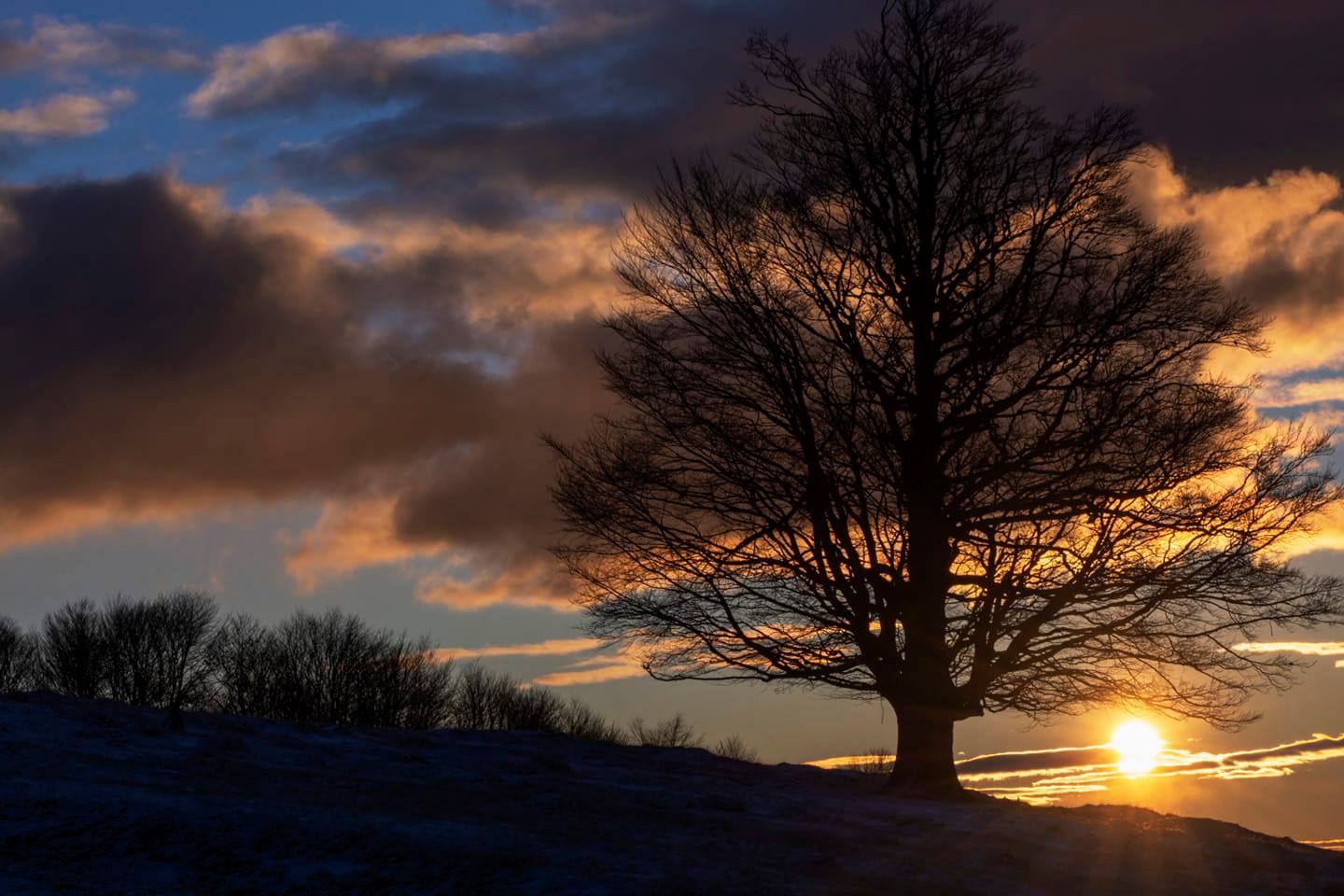 Cod galben de intensificări ale vântului în 24 de judeţe