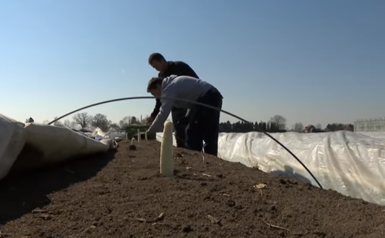 Condiții de plecare (audio)