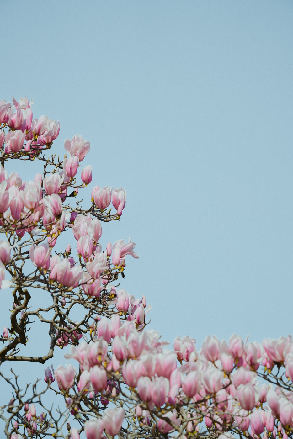 Prognoza meteo pentru 24 aprilie