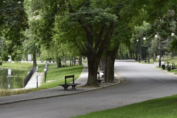 Craiova: Se redeschid parcurile și Grădina Botanică