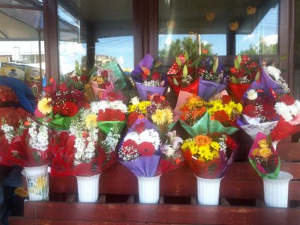 Mercurial – Piața Ciupercă din Craiova