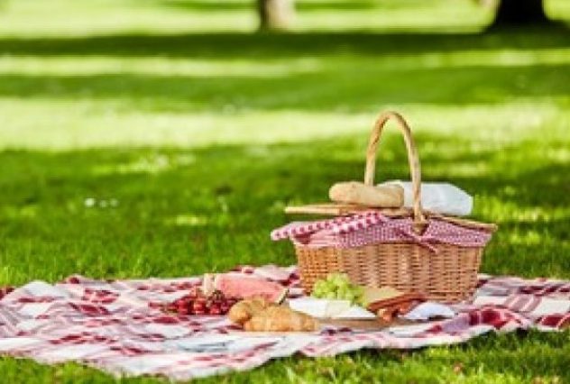 Vom putea merge la picnic, după 15 mai
