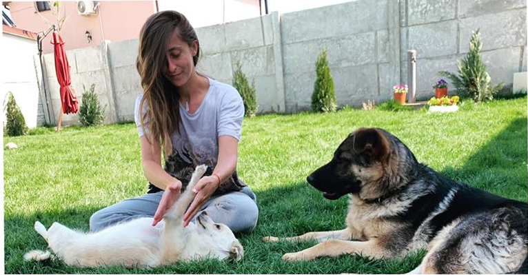 O craioveancă este terapeut pentru animalele de companie și le ajută să se vindece