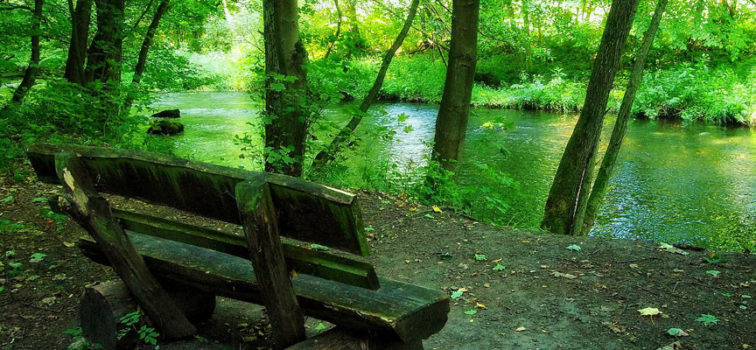 A doua etapă de relaxare criticată de social-democrați