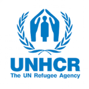 Raport privind migrația al Înaltului Comisariat al ONU