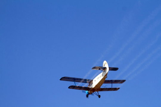 Salubritate Craiova anunță două etape de dezinsecție, pe domeniul public, în perioada 1-14 august