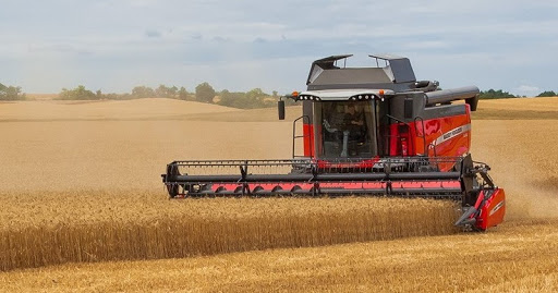 Producții bune la păioase în sudul țării