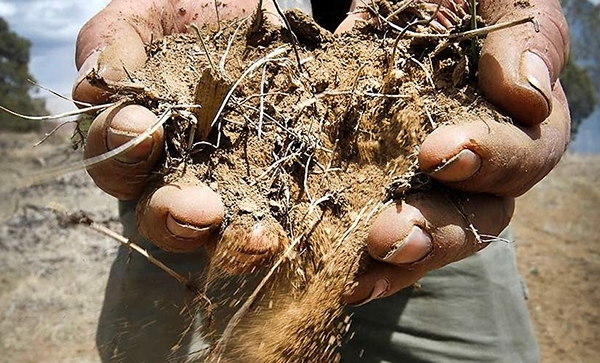 Agricultură: Despăgubiri pentru fermierii afectați de secetă, până pe 15 octombrie