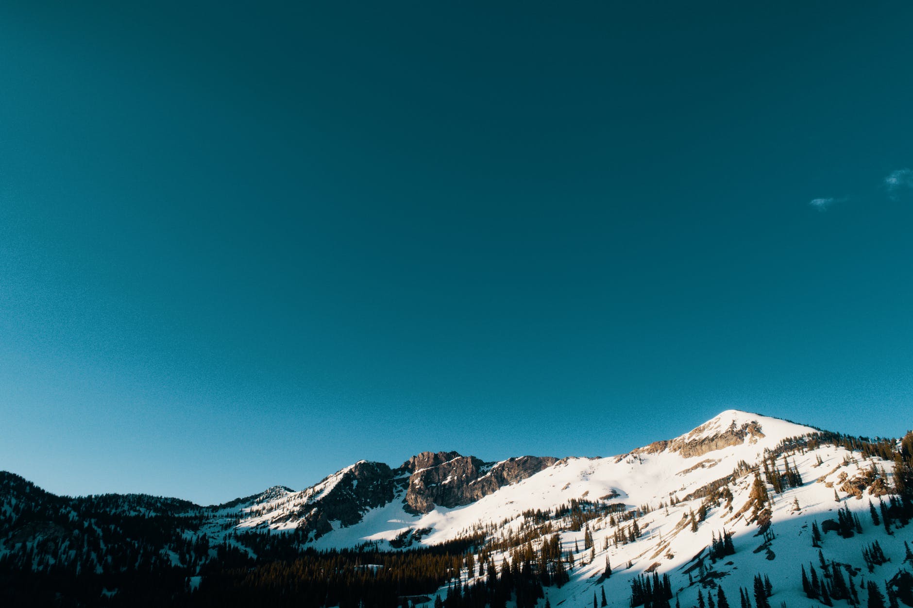 snow capped mountains and trees