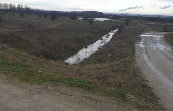 Intervenție SGA Dolj