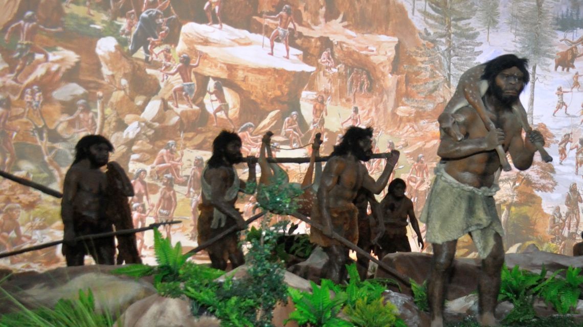 Ce rol a avut alimentația în evoluția creierului uman?