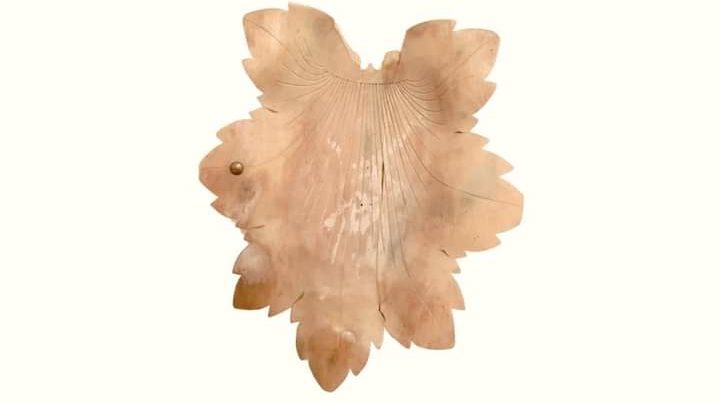 Frunza de stejar oferită de Constantin Brâncuși lui Traian Vuia va fi expusă la Muzeul Național „Constantin Brâncuși”