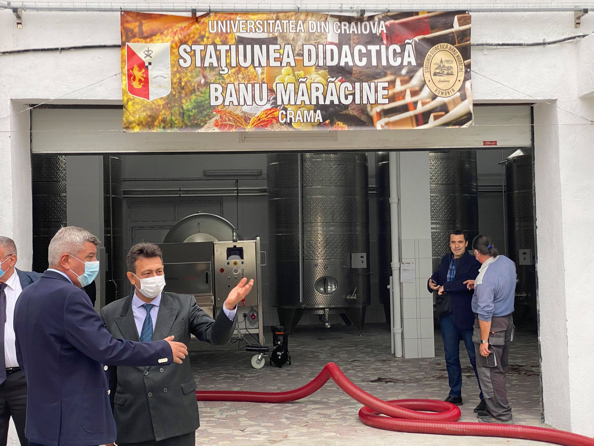 “Vinul universitar” va fi produs la Craiova