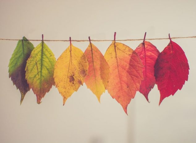 Prognoza meteo – 13/14 septembrie 2022