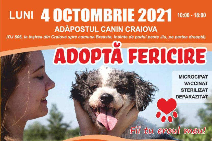 Târg de adopții canine la Craiova