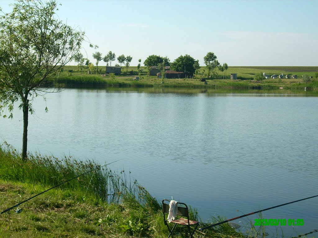 Argeş: Un pescar s-a salvat, la limită, în timp ce maşina în care dormea a pornit spre apă