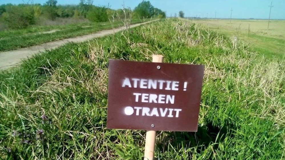 Administraţia Bazinală de Apă Jiu deratizează digurile de la Dunăre