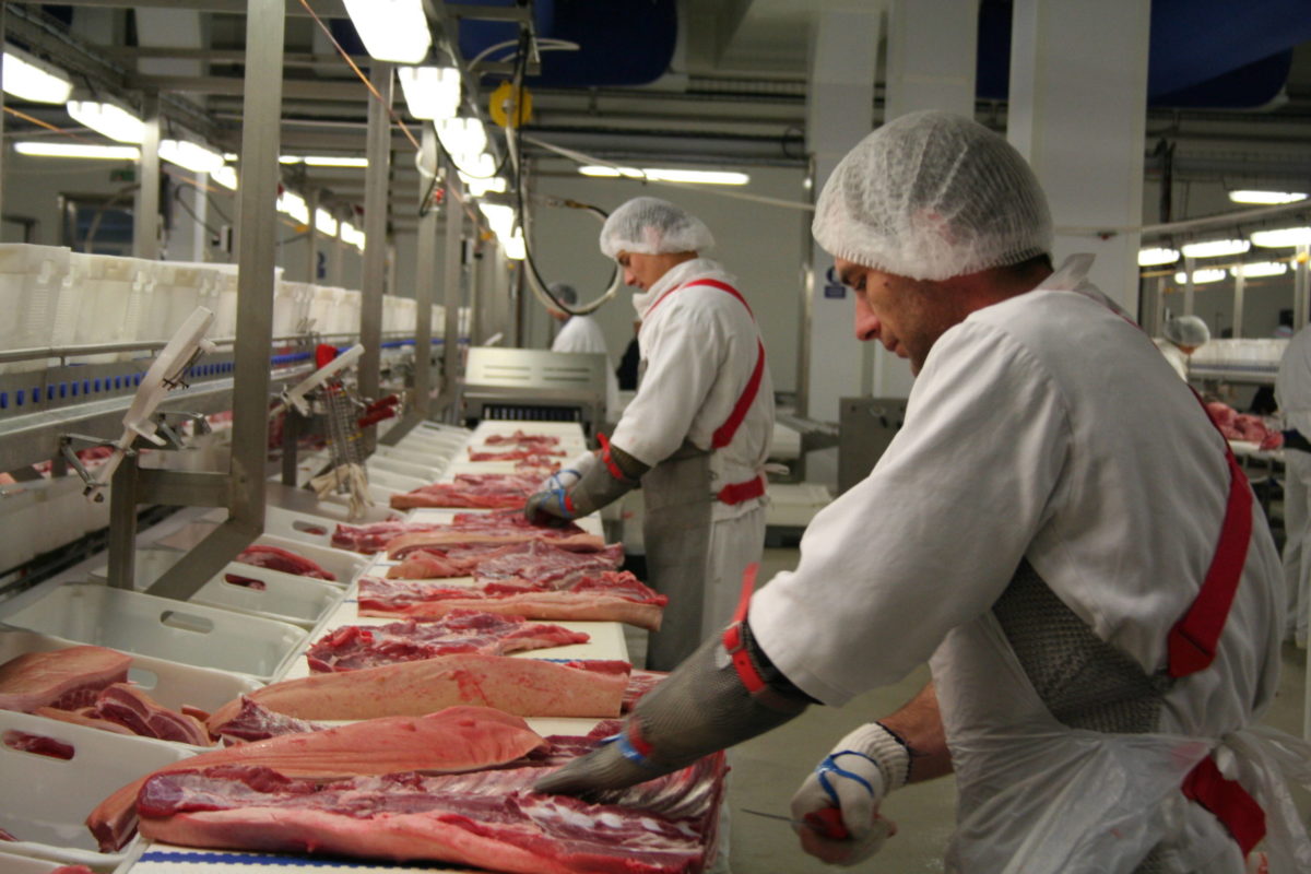 ANSVSA: Începe verificarea zonelor unde se comercializează carne de porc