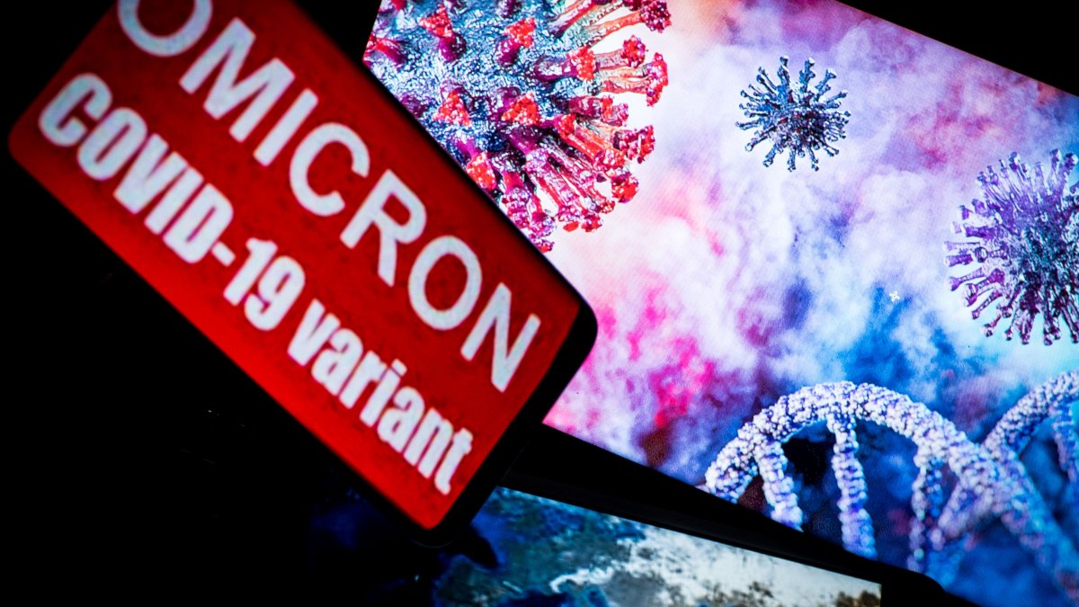 În 2022, statele UE vor primi vaccinuri adaptate variantei Omicron a coronavirusului