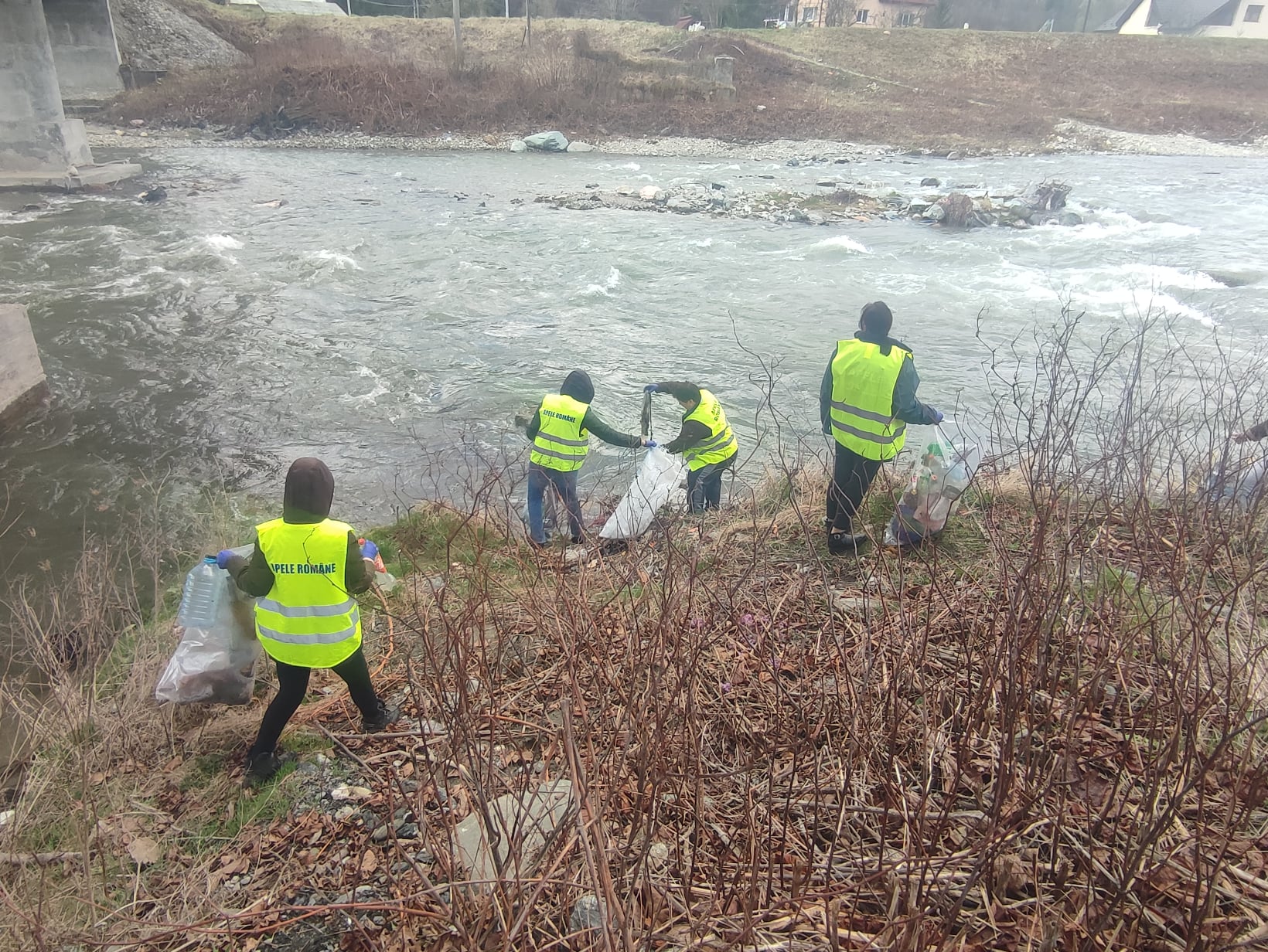 Administrația Bazinală de Apă (ABA) Jiu a început ce-a de-a doua săptămână de ecologizare a malurilor râurilor