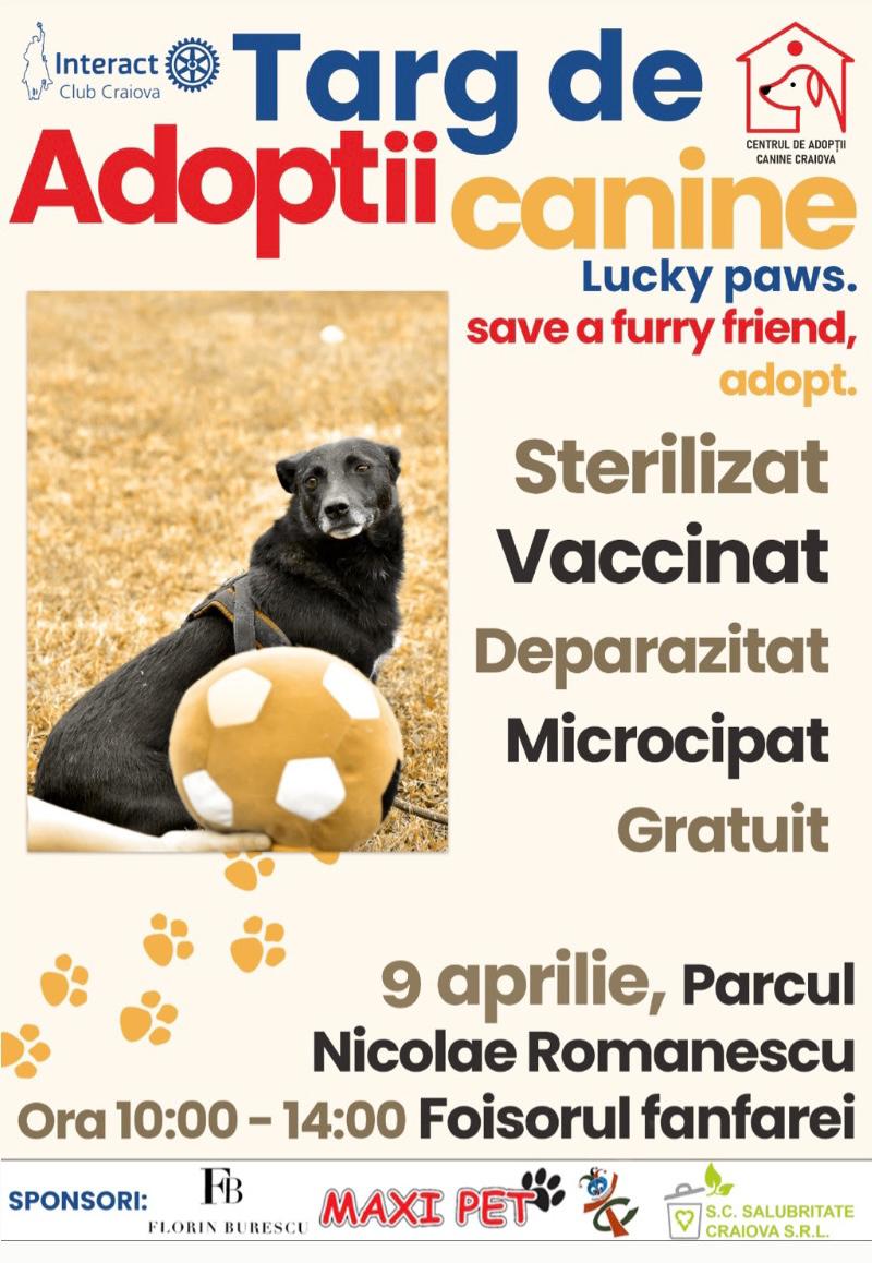 Târg de adopții canine, sâmbătă, în Parcul Romanescu