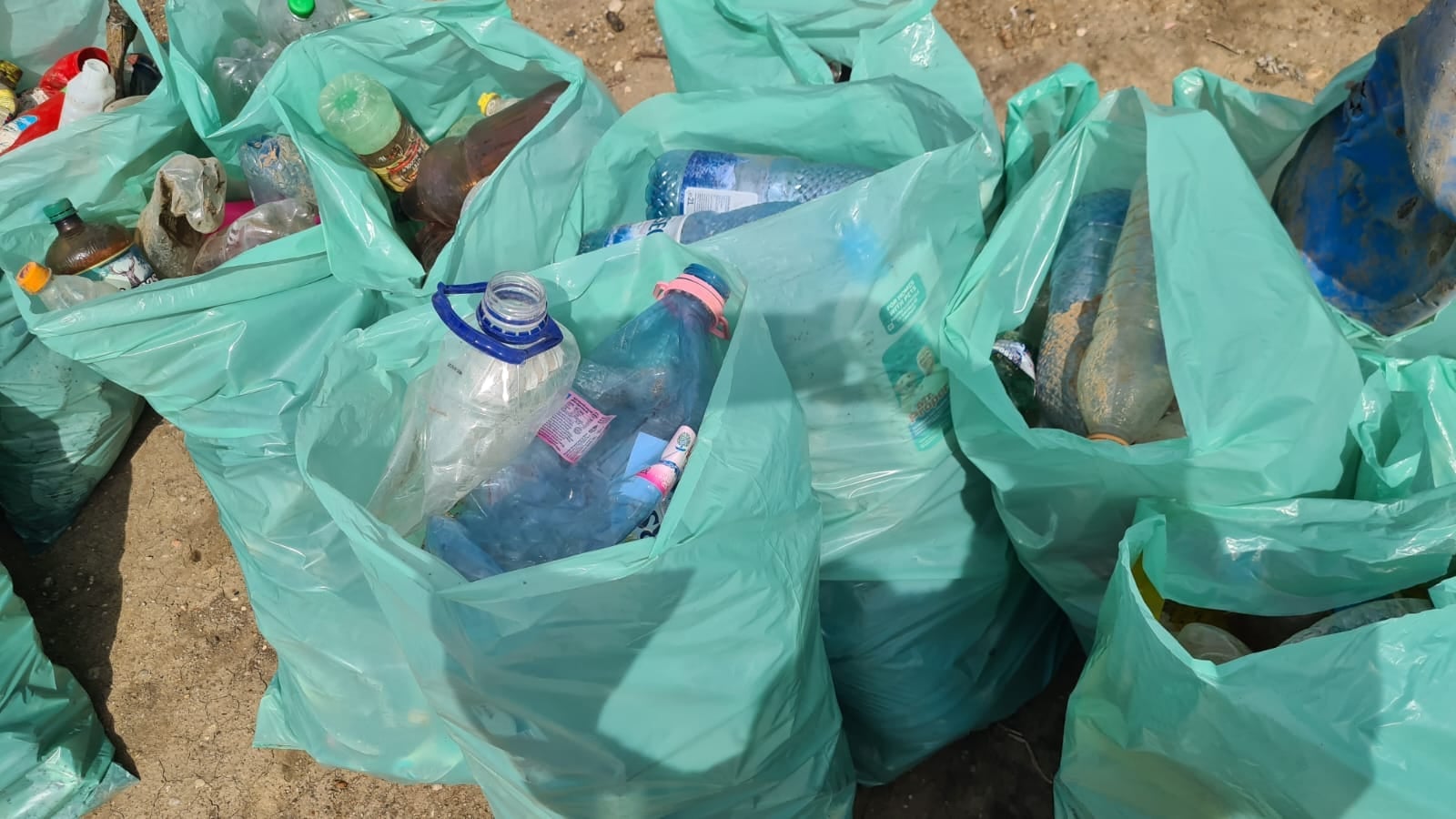 Circa 6 tone de deşeuri au fost strânse până acum de pe râul Olt, în ultimele trei week-enduri