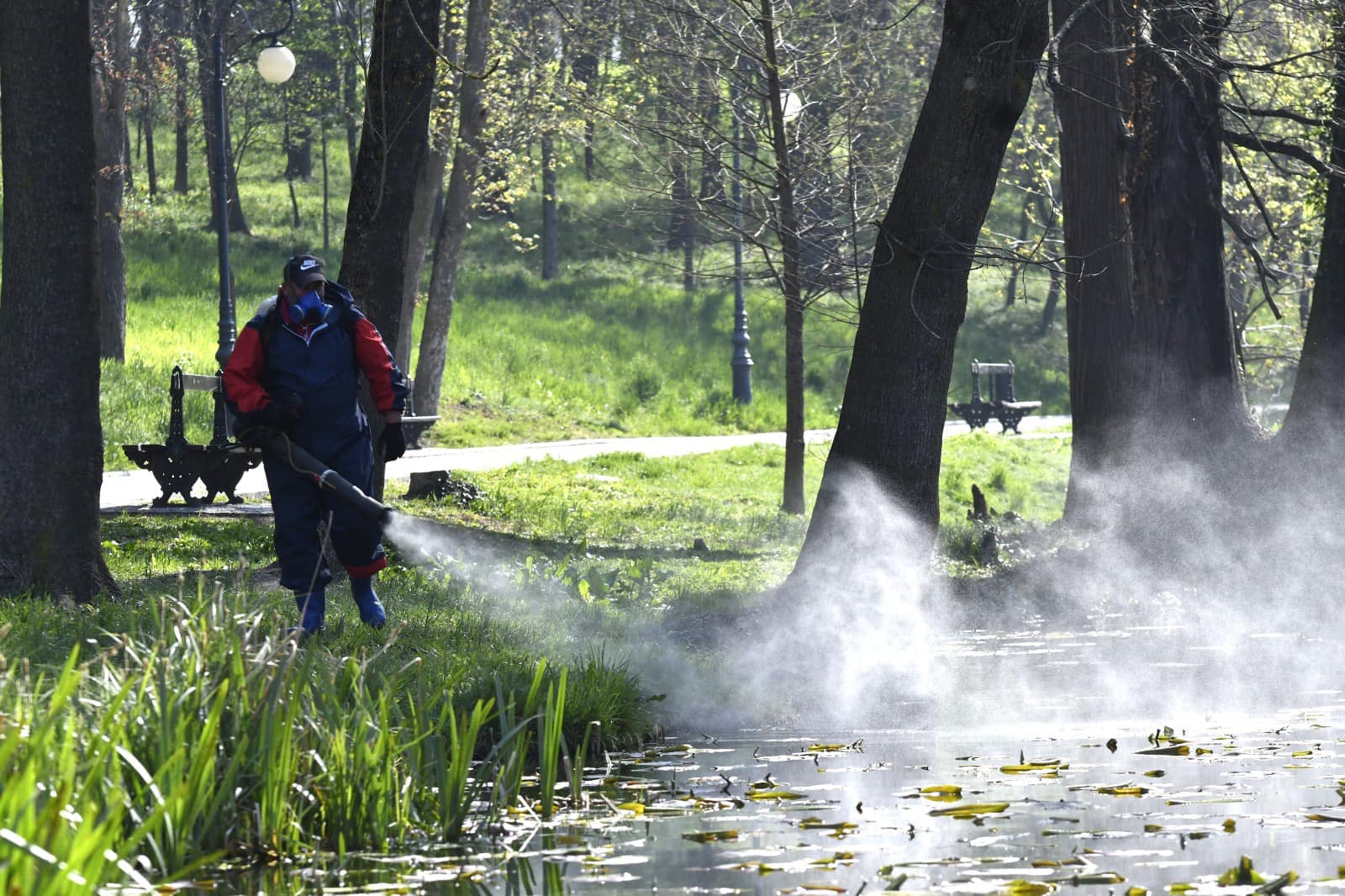 O nouă etapă de dezinsecție, prin pulverizare aeriană, va avea loc pe raza Municipiului Craiova
