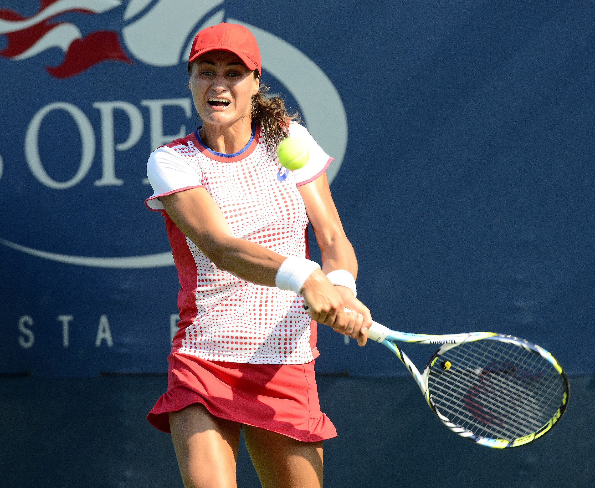 Perechea româno-americană Monica Niculescu/Caroline Dolehide s-a calificat în sferturile de finală ale turneului de tenis WTA 250 de la Nottingham