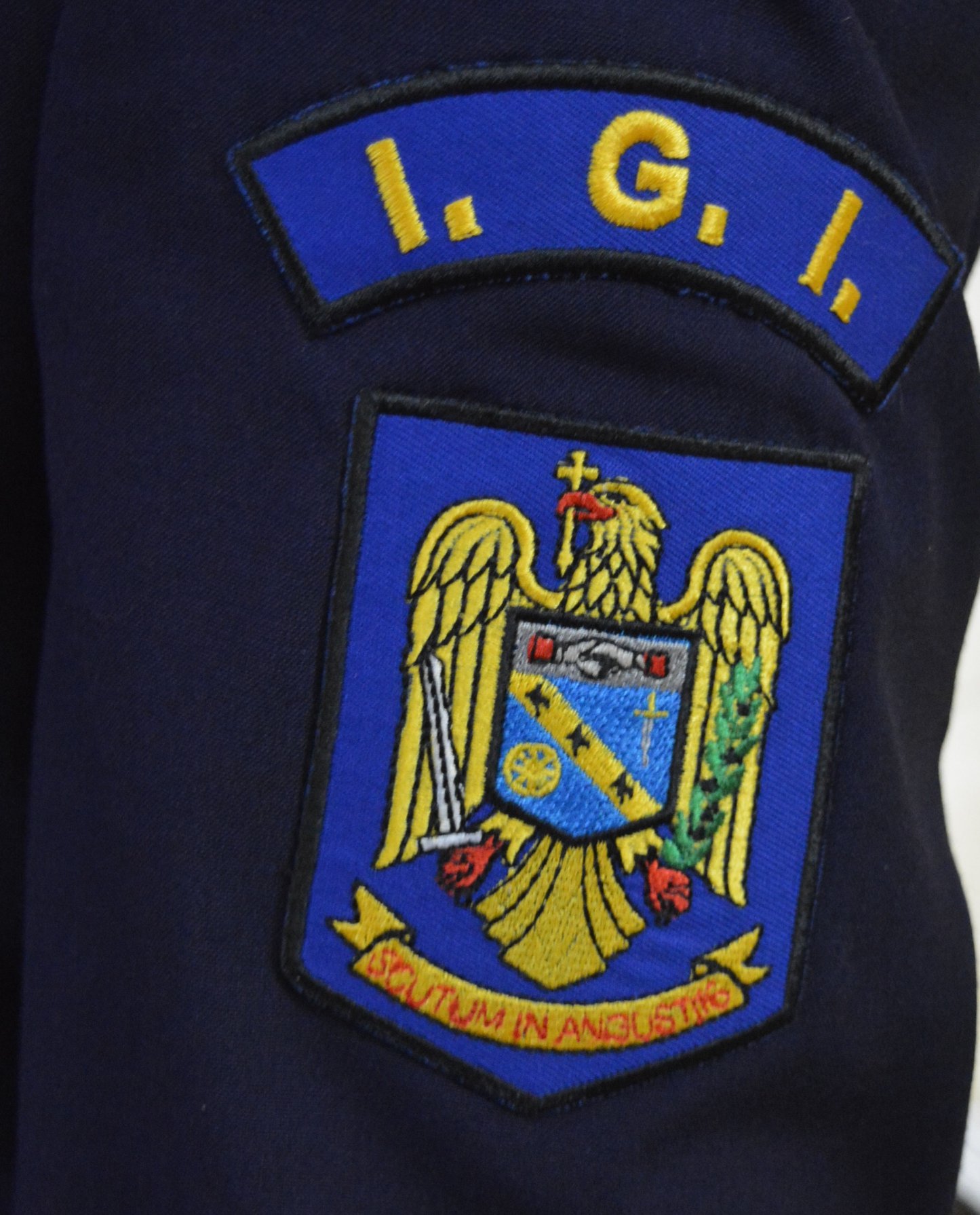 În iunie, 259 de ucraineni care se află în Oltenia au primit permise de ședere temporară