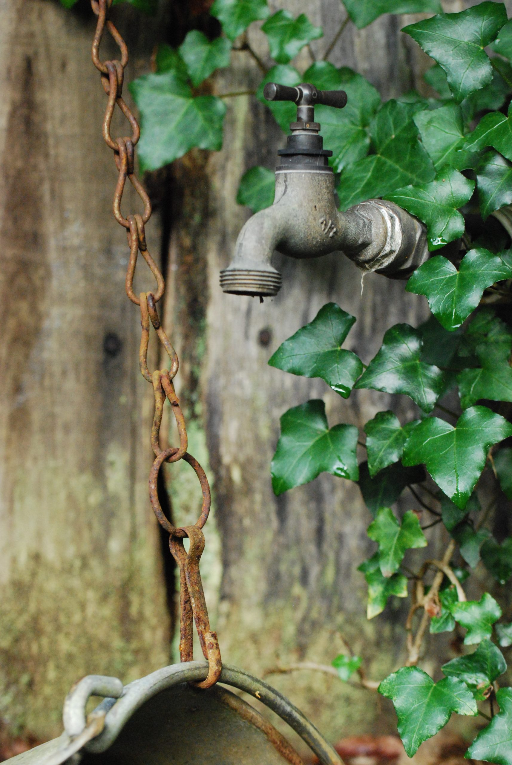 Stare de urgență decretată în nordul Italiei. Cinci regiuni ale țării, grav afectate de secetă