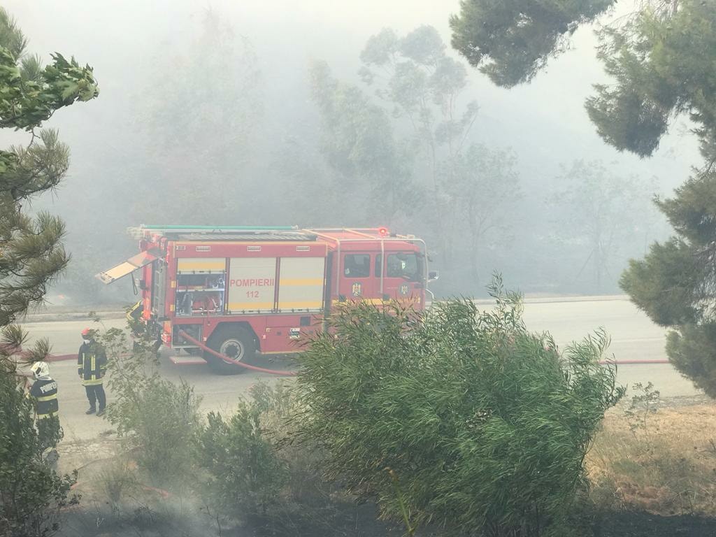 Pompierii intervin pentru a treia zi consecutiv în Câineni, pentru a stinge un incendiu izbucnit într-o pădure de conifere