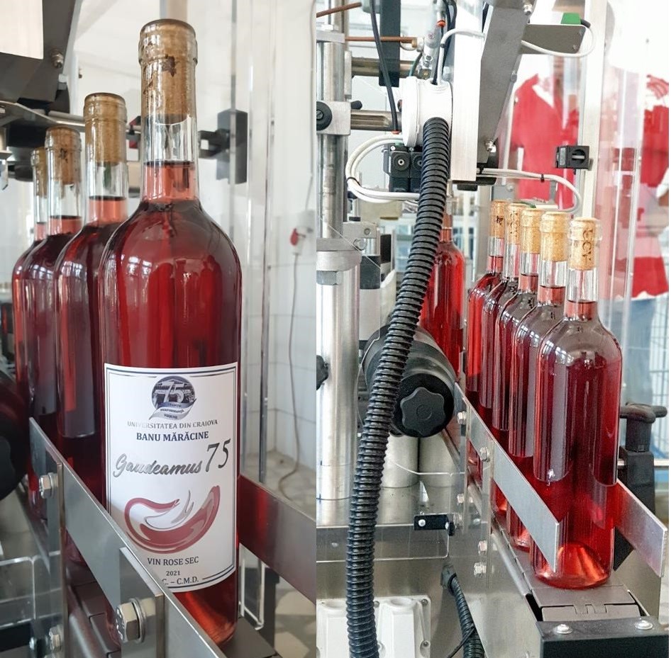 Conducerea Universității din Craiova a inaugurat o nouă linie de îmbuteliere a sticlelor de vin la Stațiunea Didactică „Banu Mărăcine