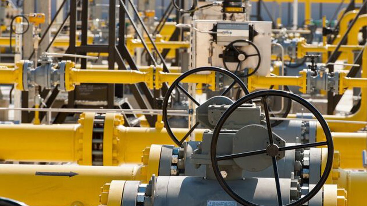 Termen pentru Lukoil (audio)