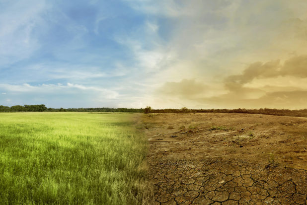 România se pregăteşte pentru a limita efectele schimbărilor climatice