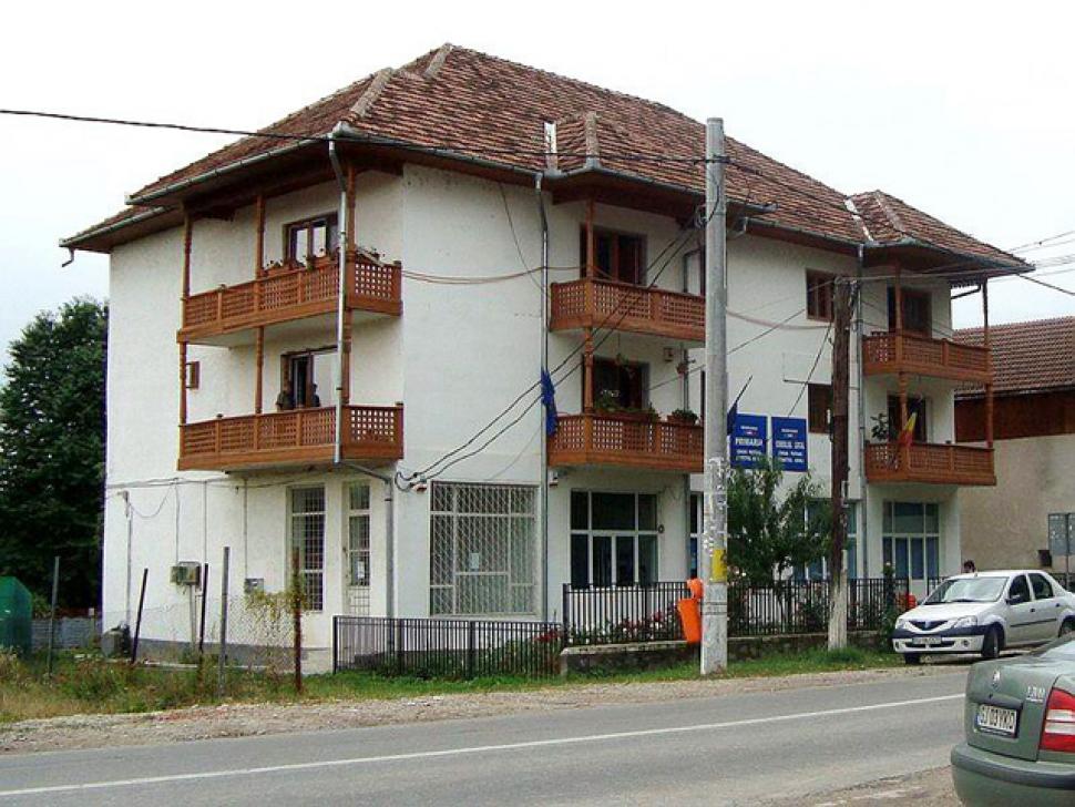 Concurs de arhitectură acasă la Brâncuși