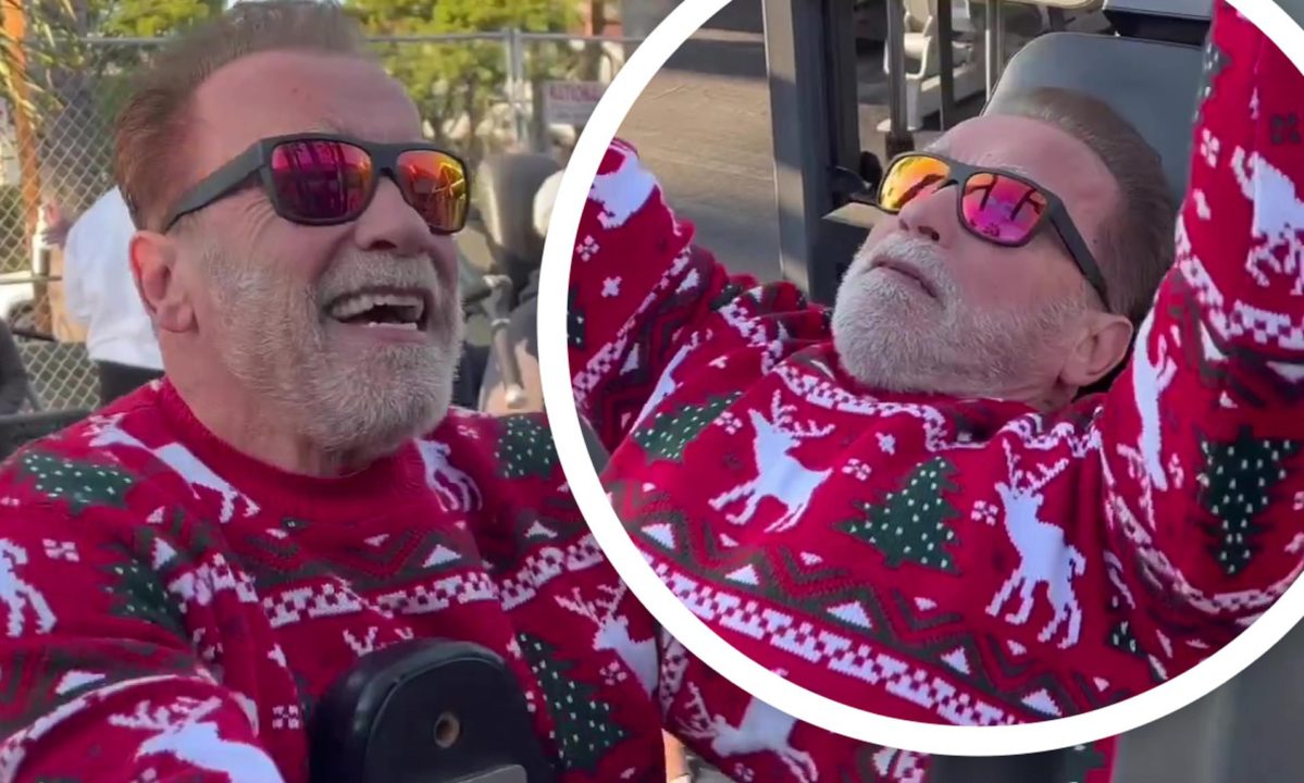 Arnold Schwarzenegger, viral pe Internet