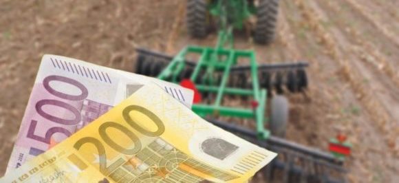 Producătorii agricoli din sectorul vegetal pot beneficia de un sprijin de 100/ha