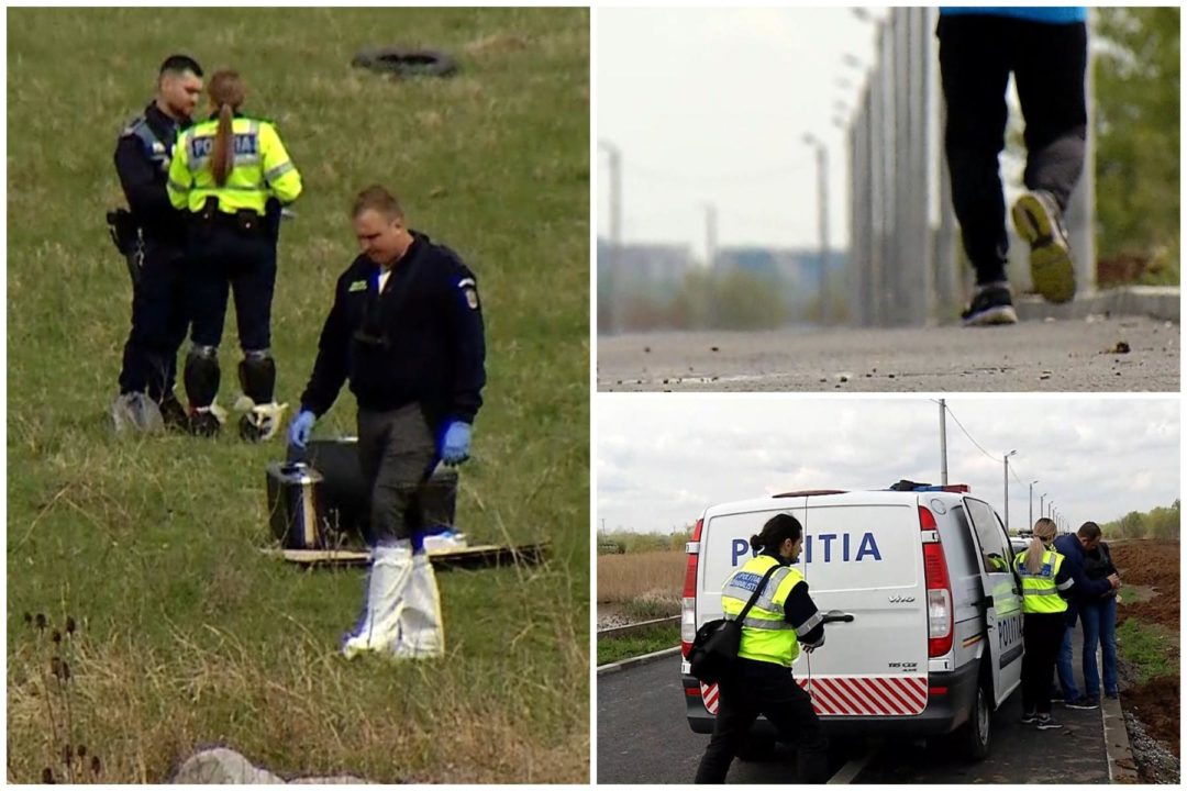 București: Dosar penal, după ce încă o femeie a fost atacată de câini, în zona Lacul Morii