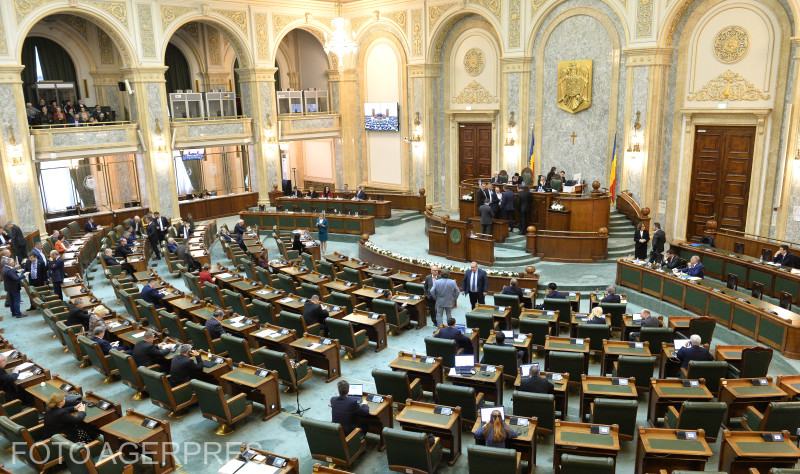 Senatul a respins cele trei iniţiative UDMR