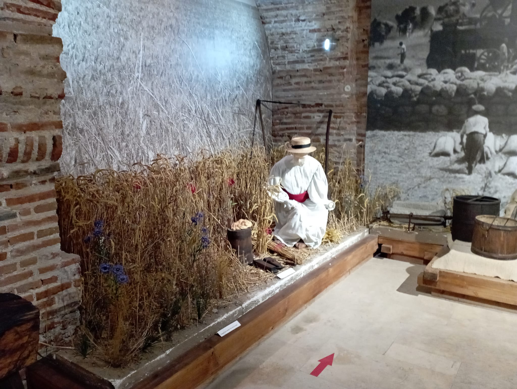 Numărul vizitatorilor la Muzeul Olteniei din Craiova este în creștere