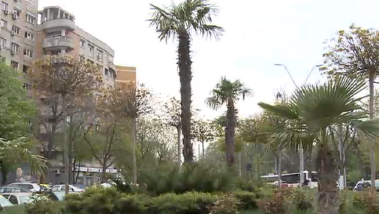 Palmieri în București (audio)