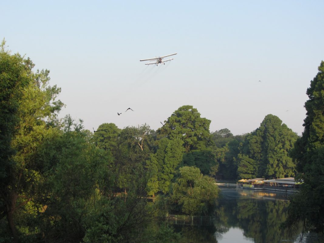 Craiova: Dezinsecție aeriană, în perioada 23-24 mai 2023