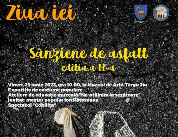 „Sânziene de asfalt”, la Muzeul de Artă din Târgu Jiu