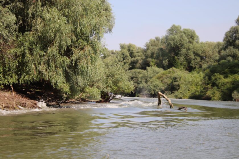 ABA Jiu: Scăldatul în râul Jiu este interzis!